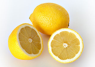 Lemon Citrus